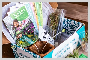 Dream Delivered Subscription Box